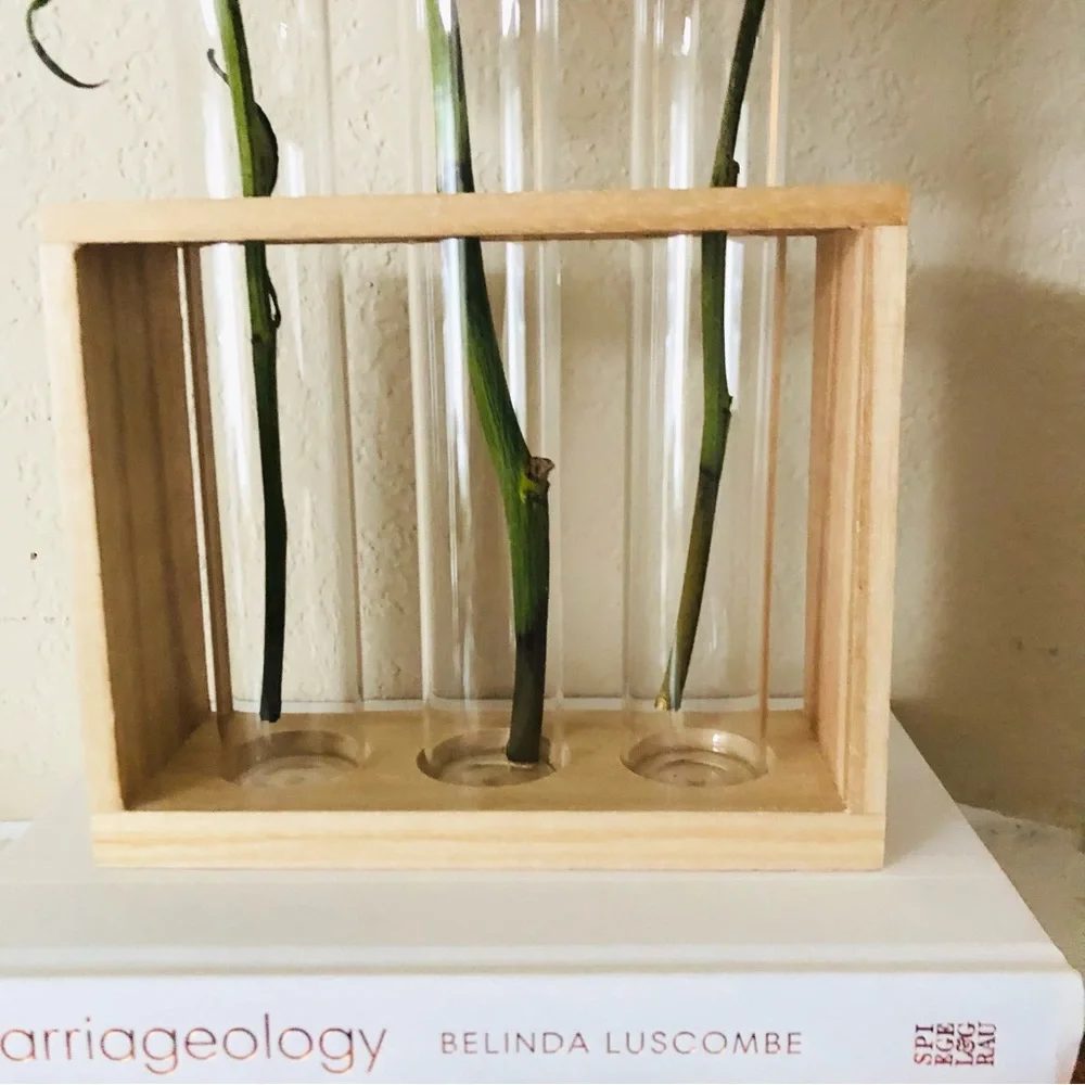 3 Vial Glass & Wood Plant Propagation Stand